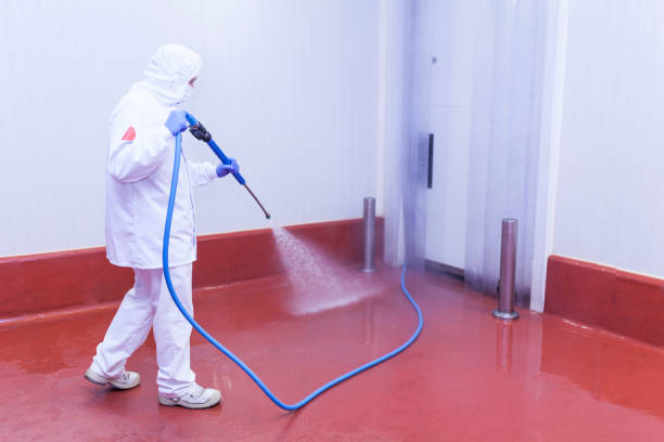 Best Dumpster Area Cleaning  in Eagle Pass, TX